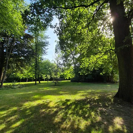 Domitys - Le Carillon D'or 4* Μομπέζ