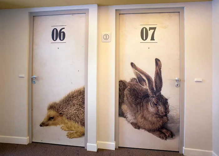 Domitys - Le Carillon D'or 4* Maubeuge